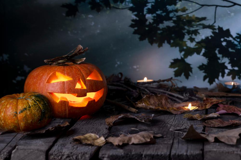 Here's a cool Halloween Gif anyone's welcome to use - Backgrounds - FACER  Community
