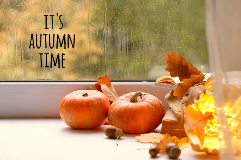 Halloween weather forecast is frightful for many Rain, snow and cold