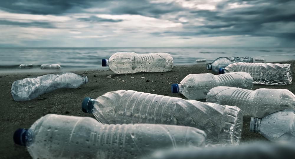 Plastic pollution on Inaccessible Island in South Atlantic