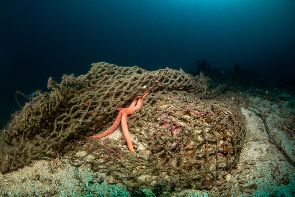 Dumped fishing gear is biggest plastic polluter in ocean, finds report -  Haultail On-Demand Delivery Network