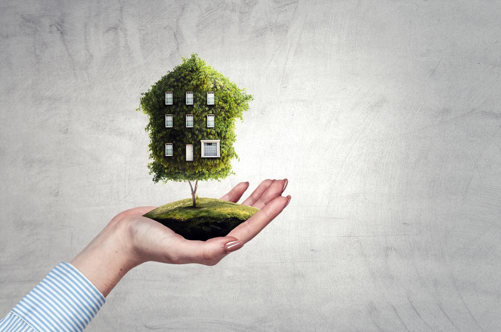 5 Sustainable House Ideas to Make Your Home More Eco-Friendly