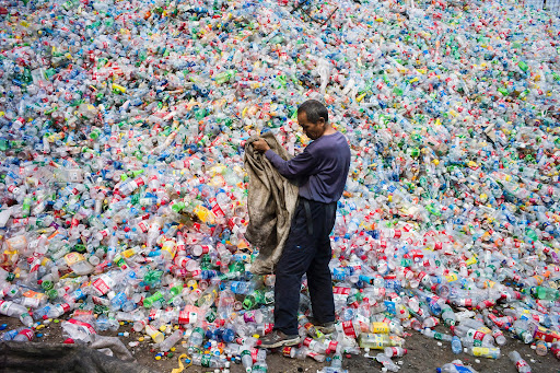 10. Plastic Bottle Waste