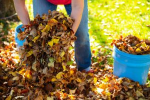 4. Yard Waste Removal