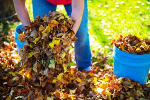 What is Yard Waste Removal?