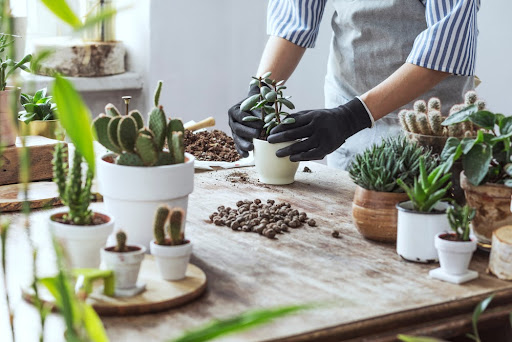 6 DIY Gardening Ideas to Try Now