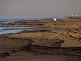 tate of Emergency in California After a Major Oil Spill